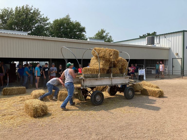 Farm Olympics