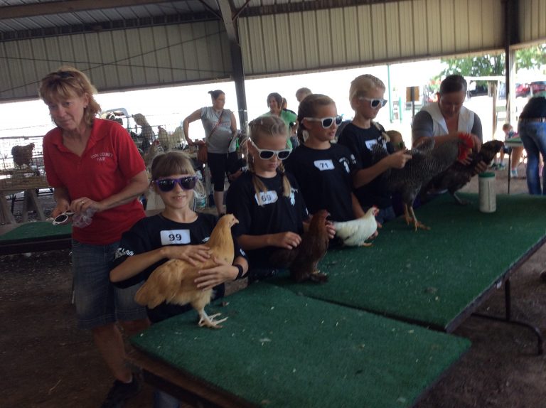 Poultry Judging